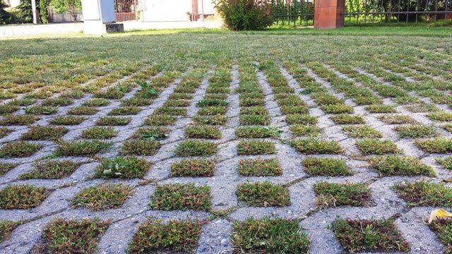 Concrete honeycomb with lawn, Vilnius.