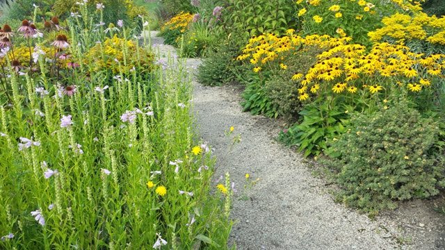 Where does the dirt road lead? photo Trakai District, author of the project. Dovilė Ivanauskienė