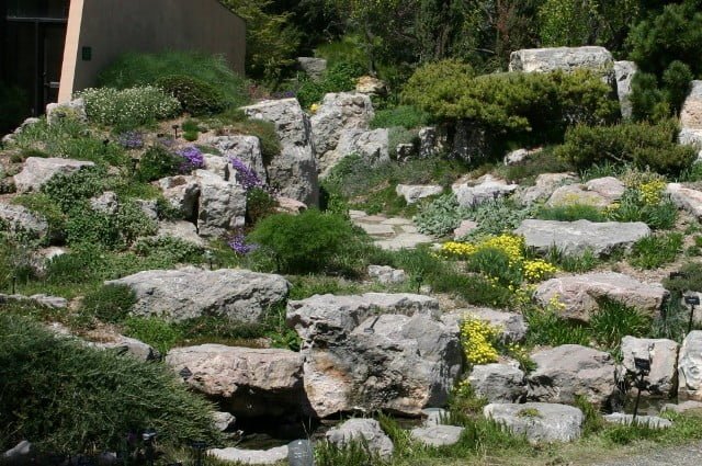 The installation and maintenance of rock gardens are closely related. Leave access to the plants. Photo courtesy of kristenheaven.co