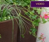 3 ways to fill the volume of pots