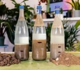 What type of soil do you have?