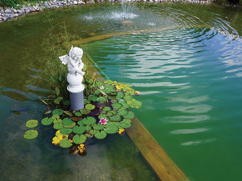 A deeper concrete pool in the center of the eco-pond. photo Lina Lubertaitė