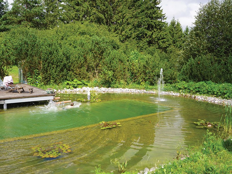 An eco-pond requires a complex filtration system that maintains the circulation and cleanliness of the water. photo Lina Lubertaitė