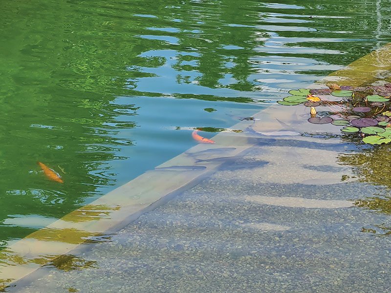 One of the biggest mistakes Anton made was bringing in the wrong fish. photo Lina Lubertaitė
