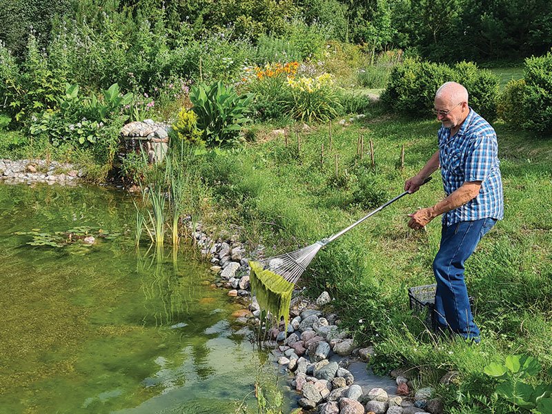 At least once a week, you need to take time to maintain the water body. photo Lina Lubertaitė