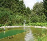 Ecopond with their own hands: Antanas from Kretinga did it!