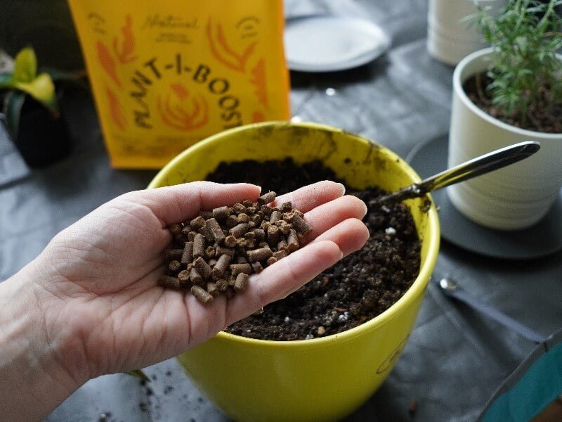 We mix the substrate, agroperlite and Plant-I-Boost fertilizer. photo L. Lubertaitė