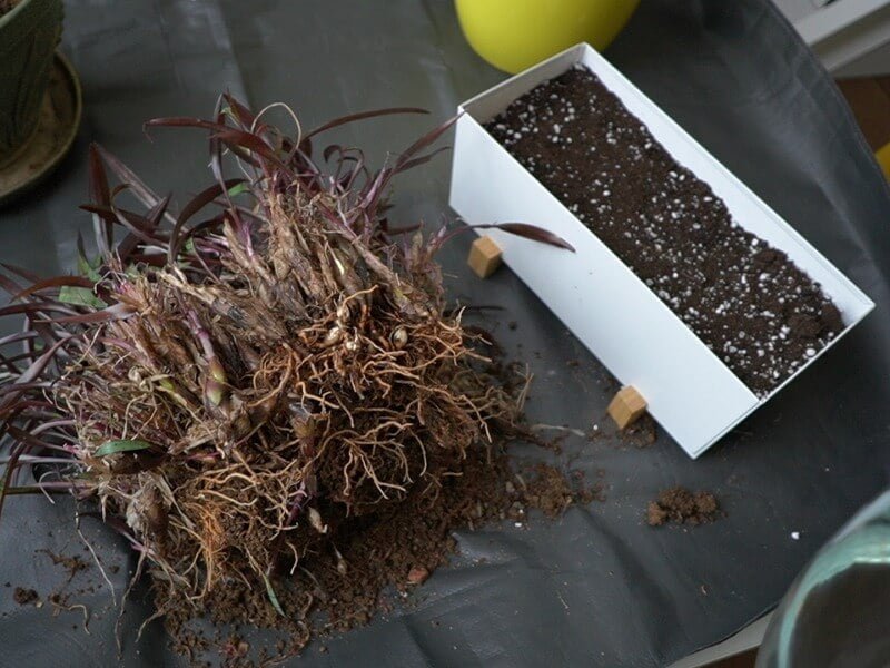 We fill the pot with our mixed mixture. photo L. Lubertaitė
