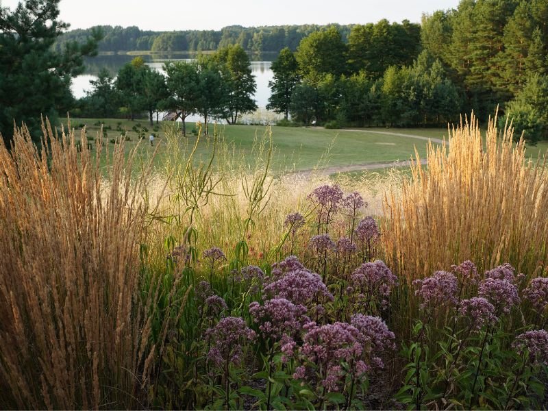 The list of plants is in the article below. photo L. Liubertaitė