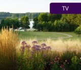 Lakeside farm in Druskininkai: ideas and list of plants