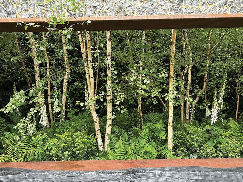 This forest seaside garden contains over 50 trees. photo Živile Monika Lazauskienė
