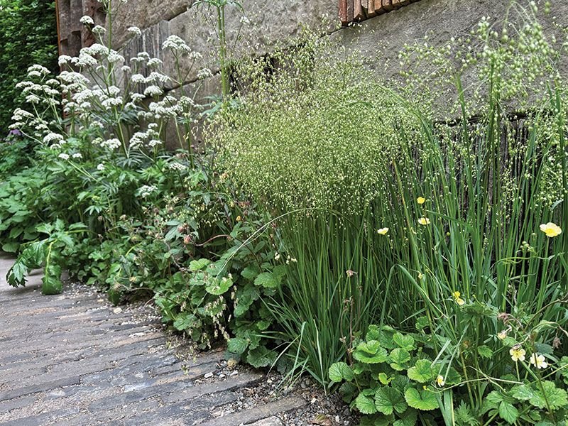 All the materials used in garden design can also be found in the forest. photo Živile Monika Lazauskienė