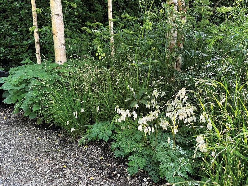 With this garden Ła Marija has never sought medals. photo Živile Monika Lazauskienė