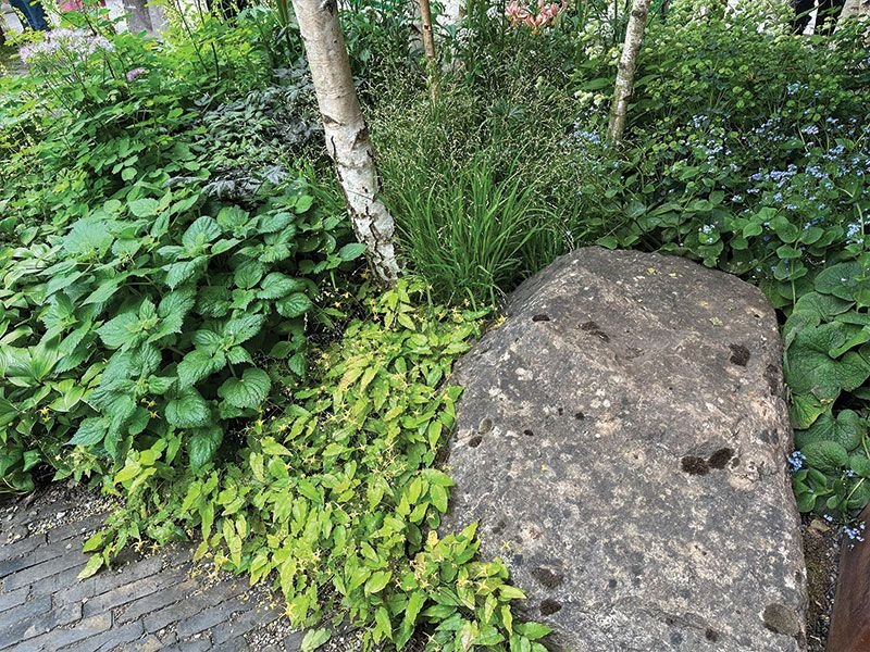 The installation of the display garden must be planned hour by hour. photo Živile Monika Lazauskienė