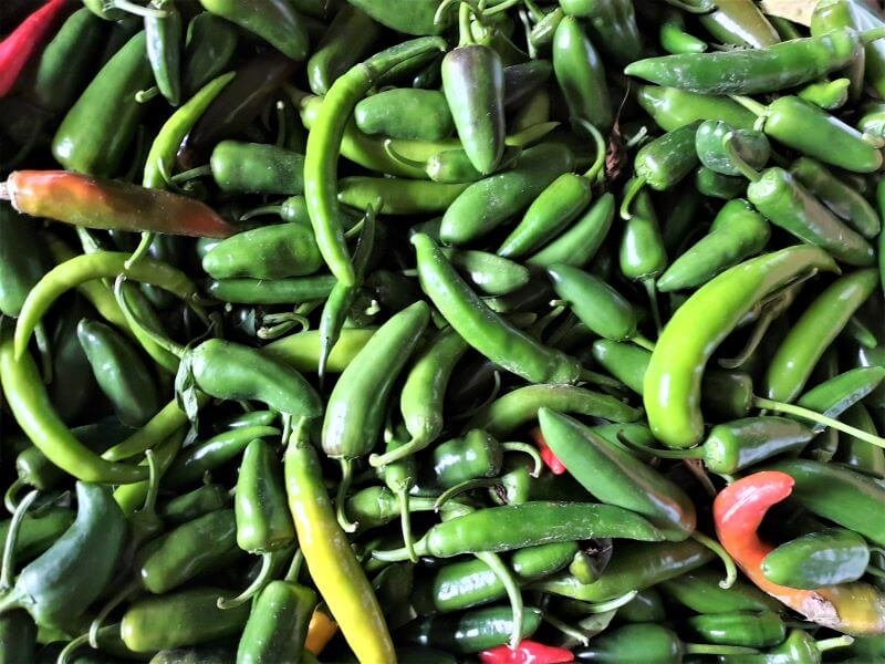 Green chili pepper. photo E. Mikolaitytė