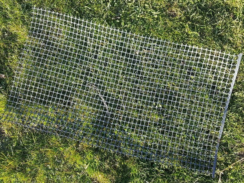 A net is used to protect the water lily