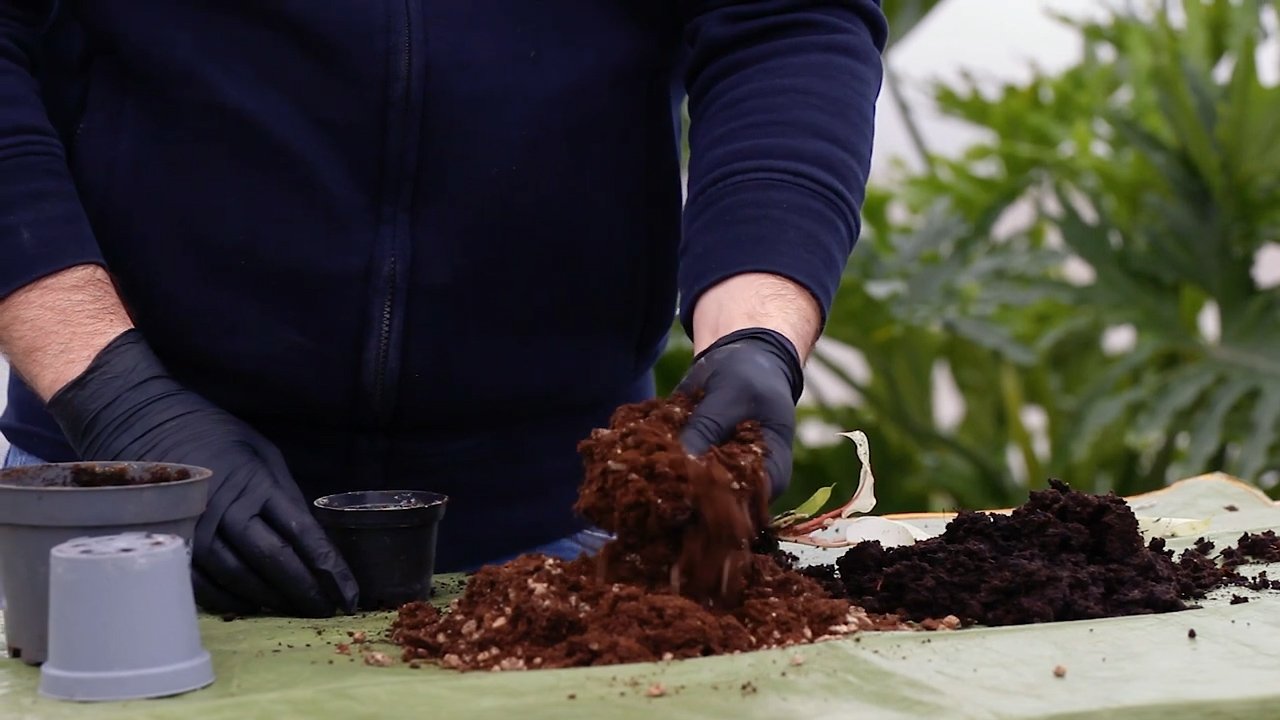 Difference between One plus, rich in pumice stone and a fine soil, full of water. One plus is lighter and lighter, while the other soil is heavy and dark