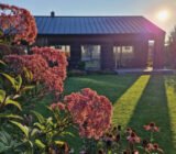 Autumn garden: plants with names