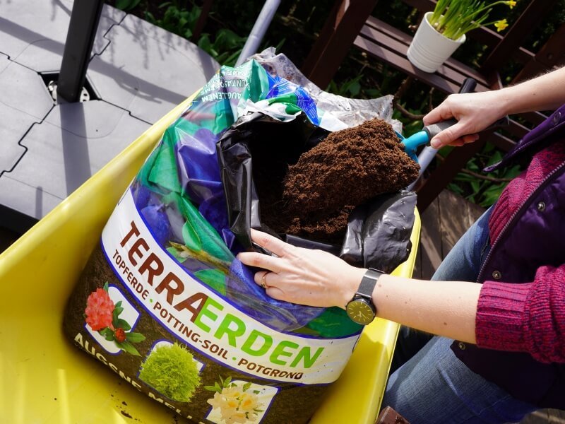 The substrate for strawberries 