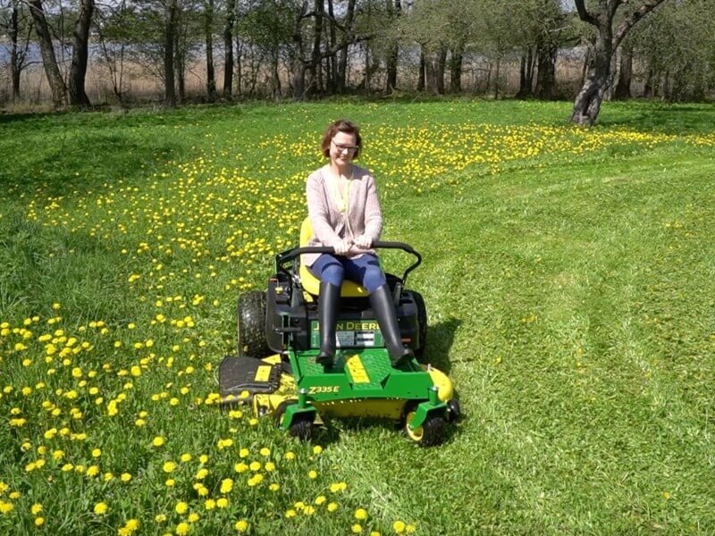 Frequent mowing will change the species composition of your lawn and make it more attractive. photo L. Lubertaitė