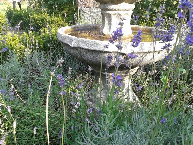 Water in the garden is always an excellent solution. Photographed in Lithuania, Vilnius.