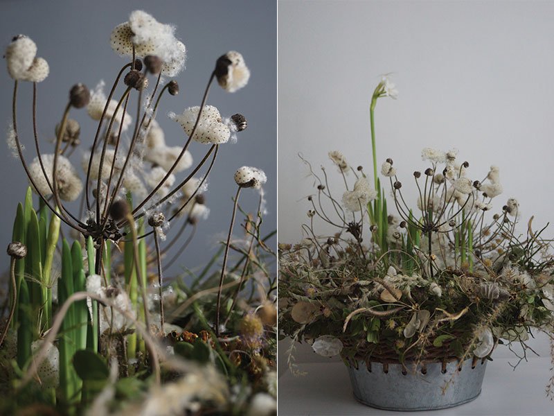 Dried Japanese feathers. photo Aurelija Razutine