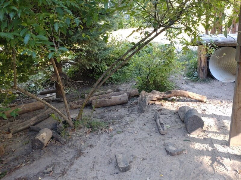 PHOTO Obstacle course in the Waldorf kindergarten in Kaunas. Tautvydas Gurskas