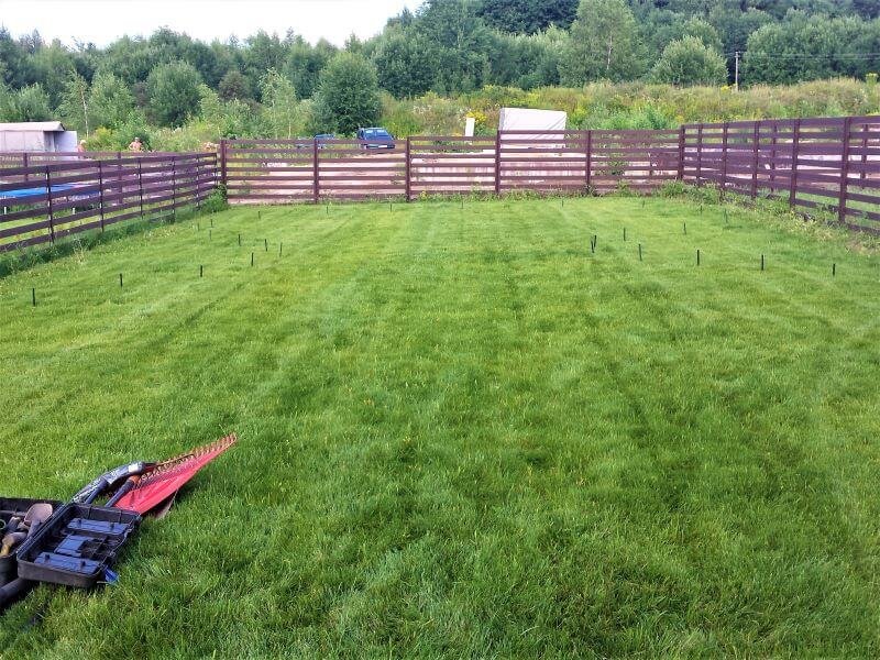 Lawn reduction and renewal interventions are planned. photo L. Puodžiūtė-Ragauskienė
