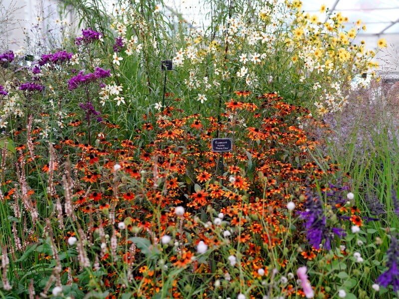 The 2021 RHS Chelsea Flower Show has been painted in autumn colours. photo Gina Gajauskienė