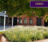 Kaunas Municipality Flower Garden: a first-hand presentation