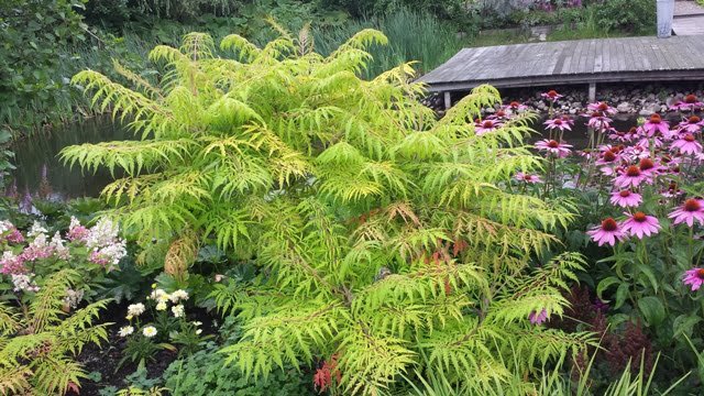 Soltra Yellow Wheelbarrow