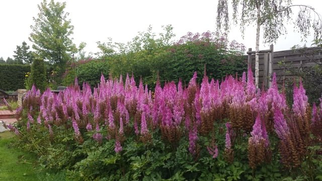 Soltra Yellow Wheelbarrow