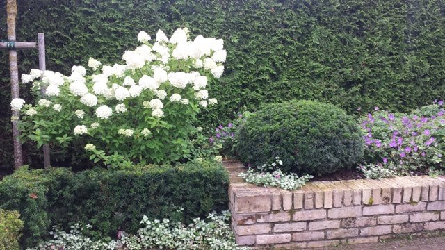 Soltra Yellow Wheelbarrow