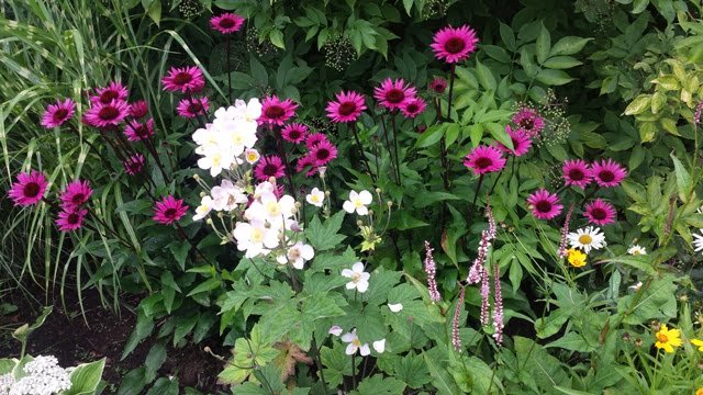Soltra Yellow Wheelbarrow