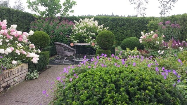 Soltra Yellow Wheelbarrow