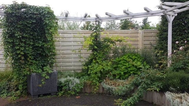 Soltra Yellow Wheelbarrow