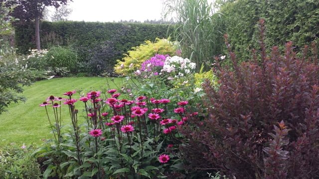 Soltra Yellow Wheelbarrow