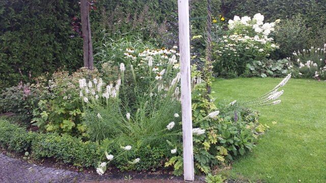 Soltra Yellow Wheelbarrow