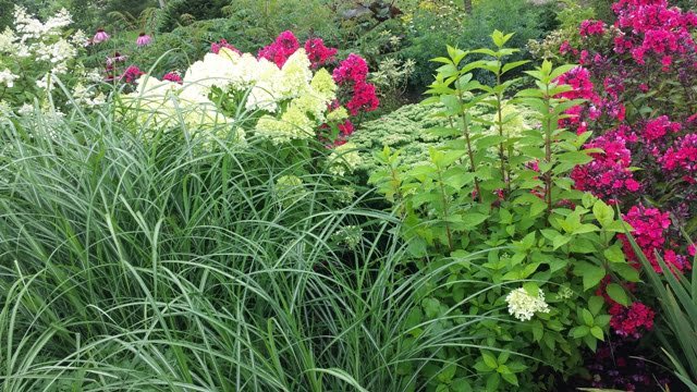 Soltra Yellow Wheelbarrow