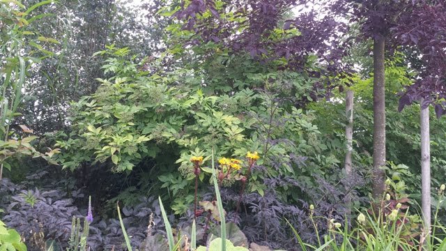 Soltra Yellow Wheelbarrow