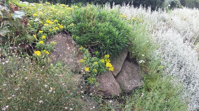 Soltra Yellow Wheelbarrow