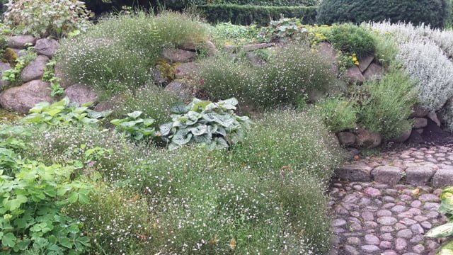 Soltra Yellow Wheelbarrow