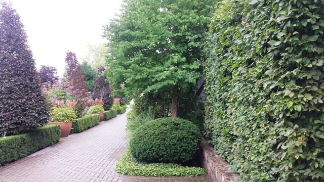 Soltra Yellow Wheelbarrow