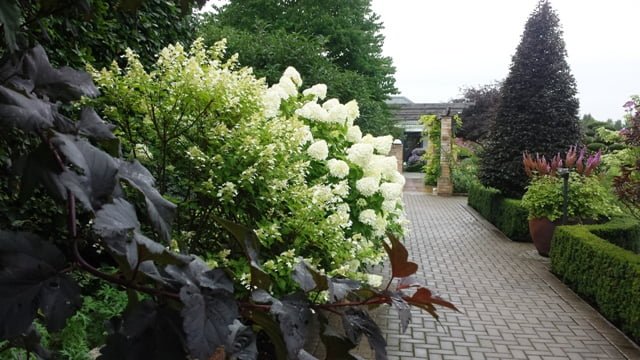 Soltra Yellow Wheelbarrow