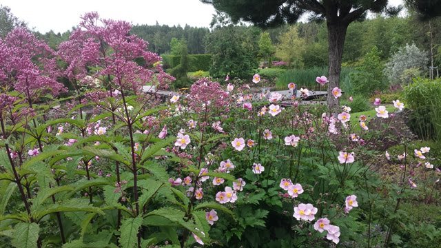 Soltra Yellow Wheelbarrow