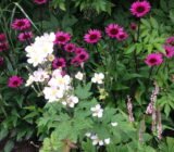 A feast for the eyes – photo from the «Soltra» nursery