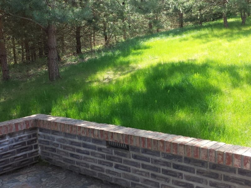 A new lawn on the farm was installed in the traditional way. Photo by L. Liubertaitė