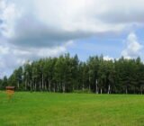 how to get it cheaper and easier