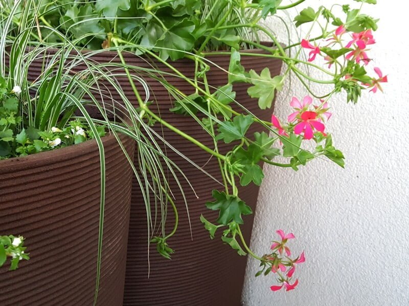 Large pots and ways to fill them. Automatic photo L. Liubertaitė