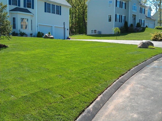 Nice lawn, but isn't it boring to look at? Photo from theberkshiregrasshopper.com